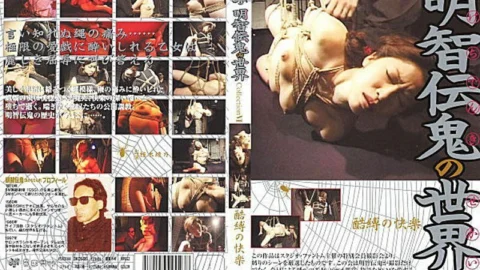 DKOS-06 World of Akechi Denki Collection 6 Pleasure of ugly bondage