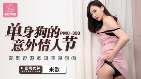 PMC390 Single Dog’s Accident