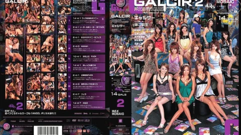 IPSD-008 GALCIR 2