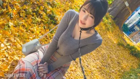 PAI-377 Furthermore