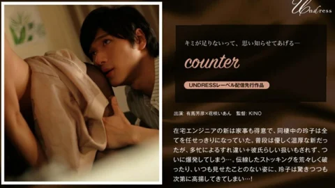 SILKU-017 Counter