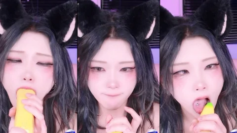 KBJ-24122659 kbj24122659_twingo1125_20241101
