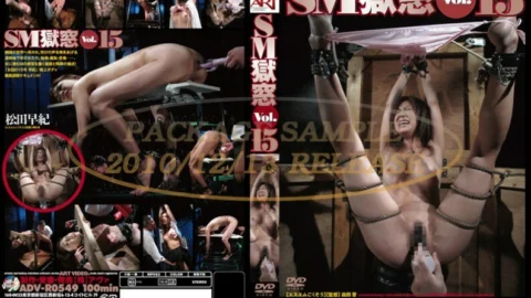 ADV-R0549 SM Prison Window Vol.15