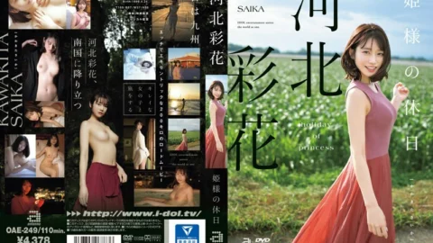 OAE-249 Princess’s Holiday Ayaka Kawakita