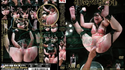 ADV-R0458 bizarre cage 54