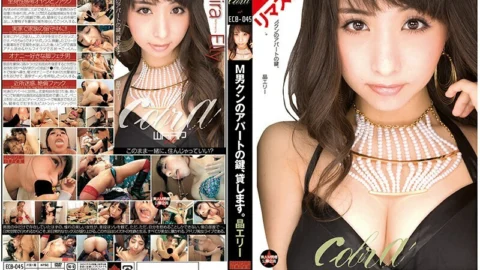 REECB-045 [AI Remastered Edition] I’ll lend you the key to my apartment, M-kun. Ellie Akira