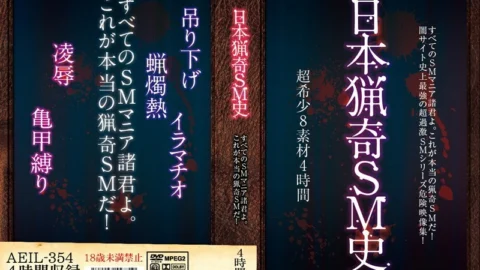AEIL-354 Japan bizarre SM history