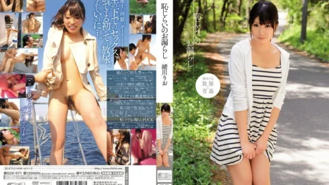SOE-971 Shyness Leakage Rio Ogawa – Ogawa Rio