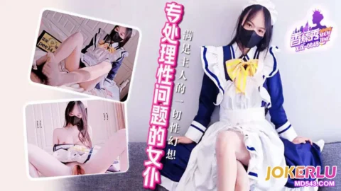 XJX645 Specialist Maid for Handling Sexual Problems